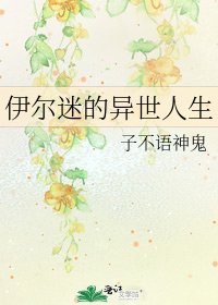 伊尔迷的异世人生